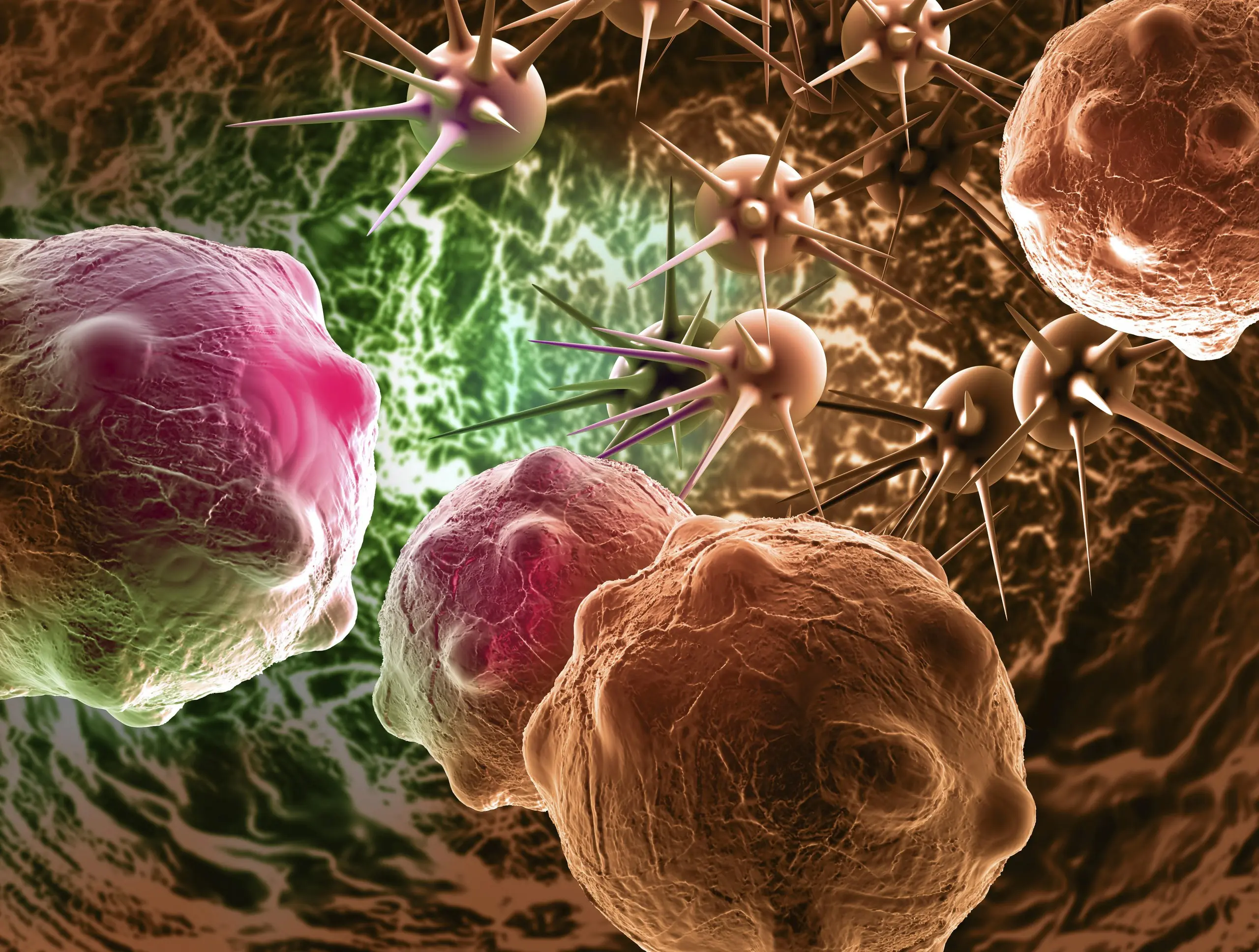 8 foods that kill can.cer cells that many people pay little attention to