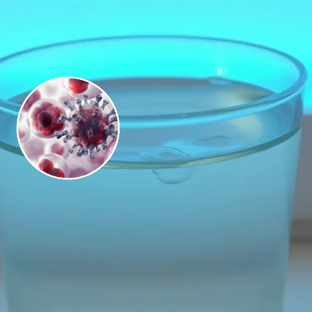 Sh.o.cking secret: These 2 popular drinks are 'food' that nourishes c.a.n.cer cells