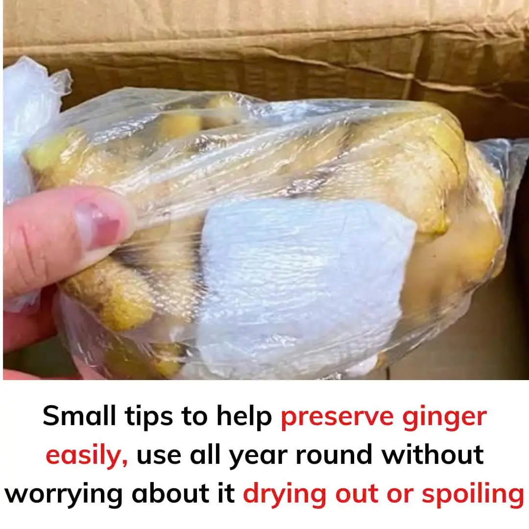 Just apply some of the following tips, you can easily preserve ginger