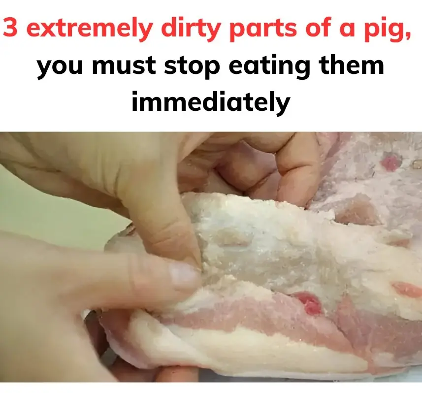 3 extremely dirty parts of a pig, you must stop eating them immediately