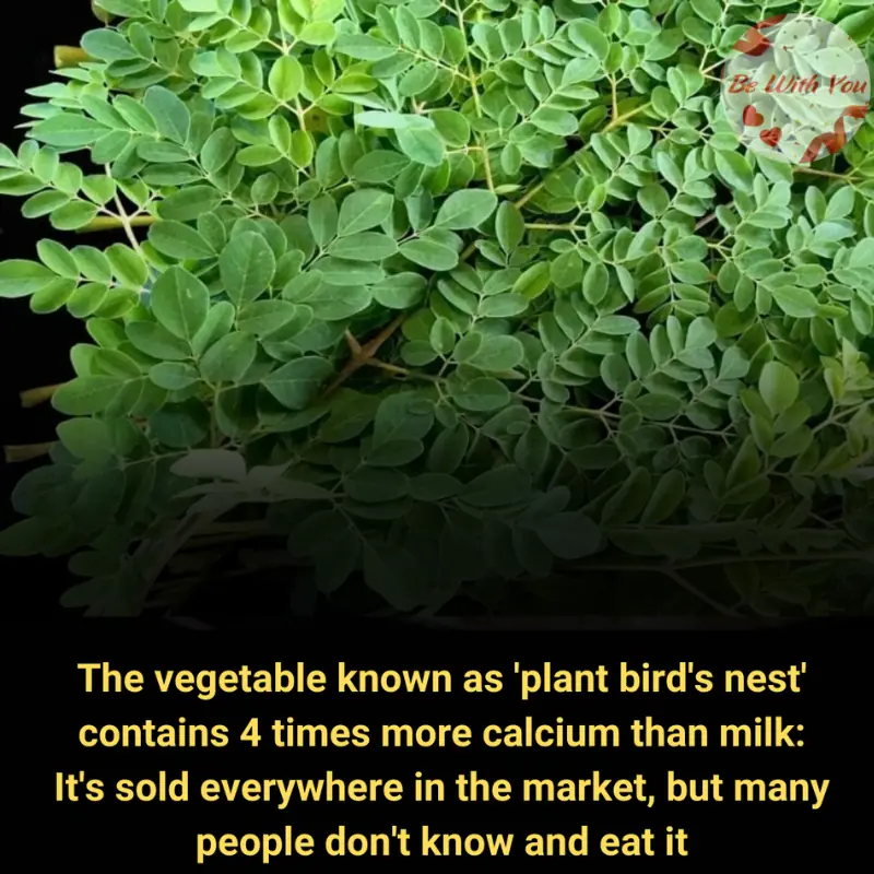 The whole world is celebrating the discovery of a vegetable