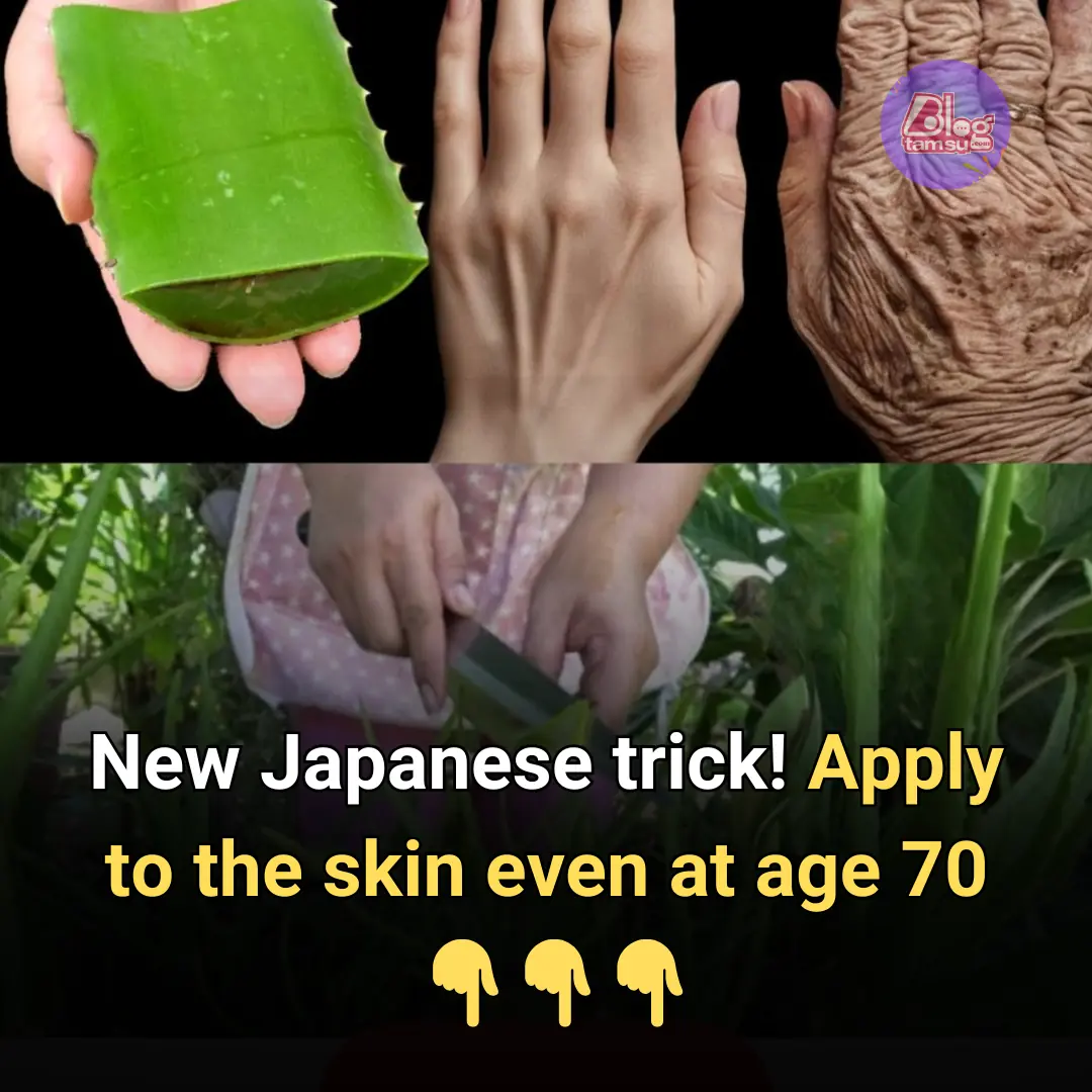 New Japanese Trick! Apply to the Skin Even at 70 with Aloe Vera