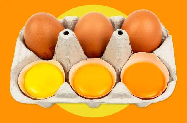 Orange vs. Yellow Egg Yolks: Which One Is More Nutritious and Delicious?