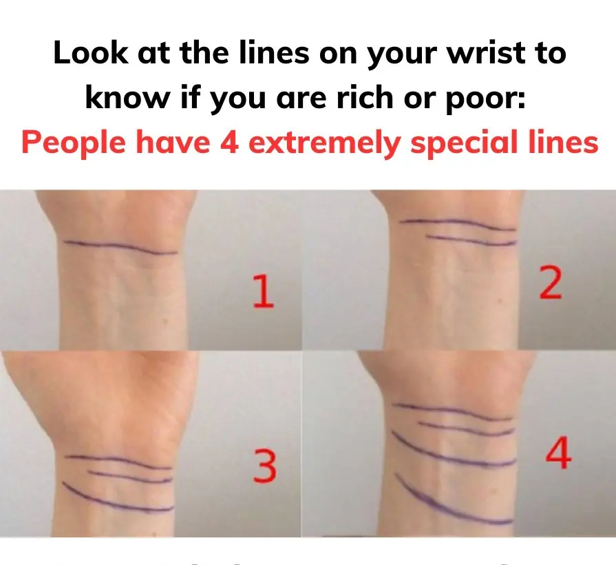 How many wrist lines do you have?