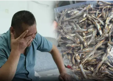 No one expected Dad's bag of dried fish...