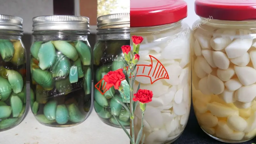 Why Does Pickled Garlic Turn Green? Simple Tips for Crisp, White Garlic Without Mold