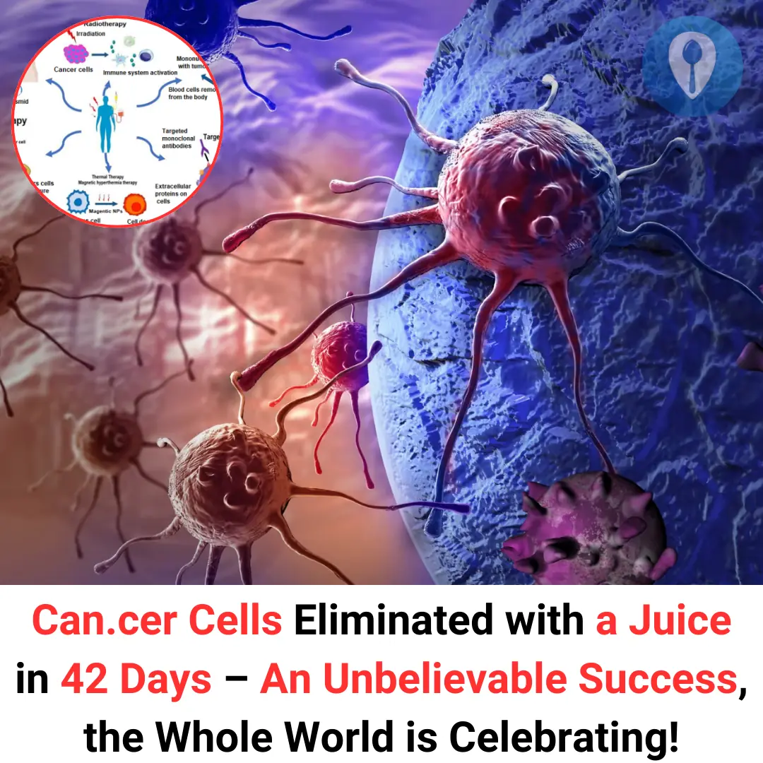 Can.cer Cells Eliminated with a Juice in 42 Days