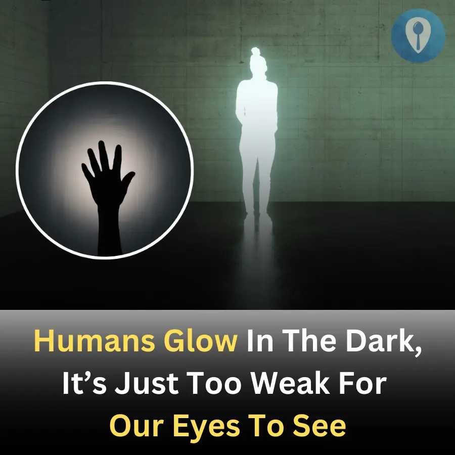 Humans Glow In The Dark, It’s Just Too Weak For Our Eyes To See