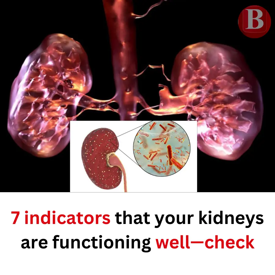 Seven indicators that your kidneys are functioning well—check