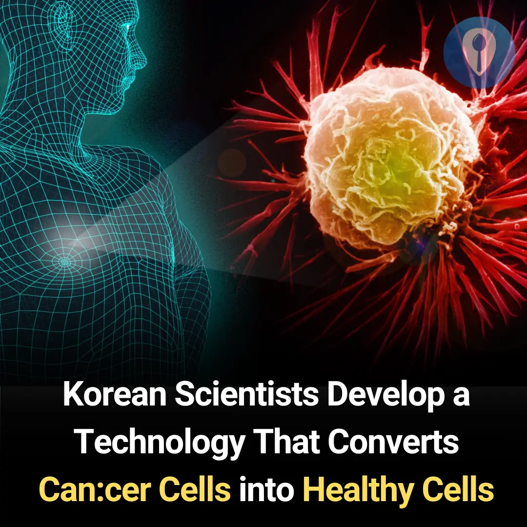 Korean Scientists Develop a Technology That Converts Cancer Cells into Healthy Cells