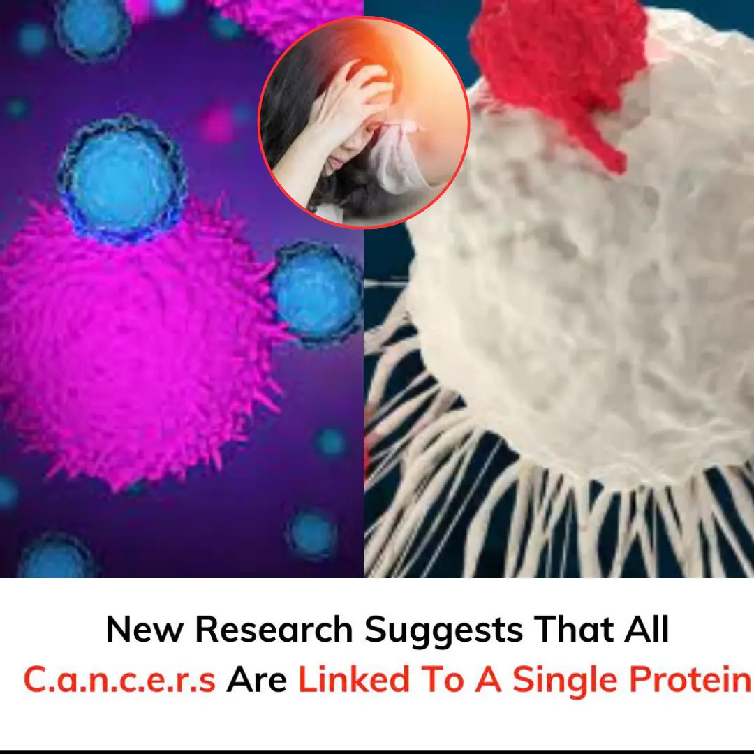 New Research Suggests That All C.a.n.c.e.r.s Are Linked To A Single Protein