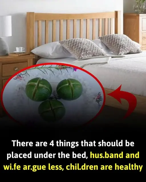 4 things that should be placed under the bed