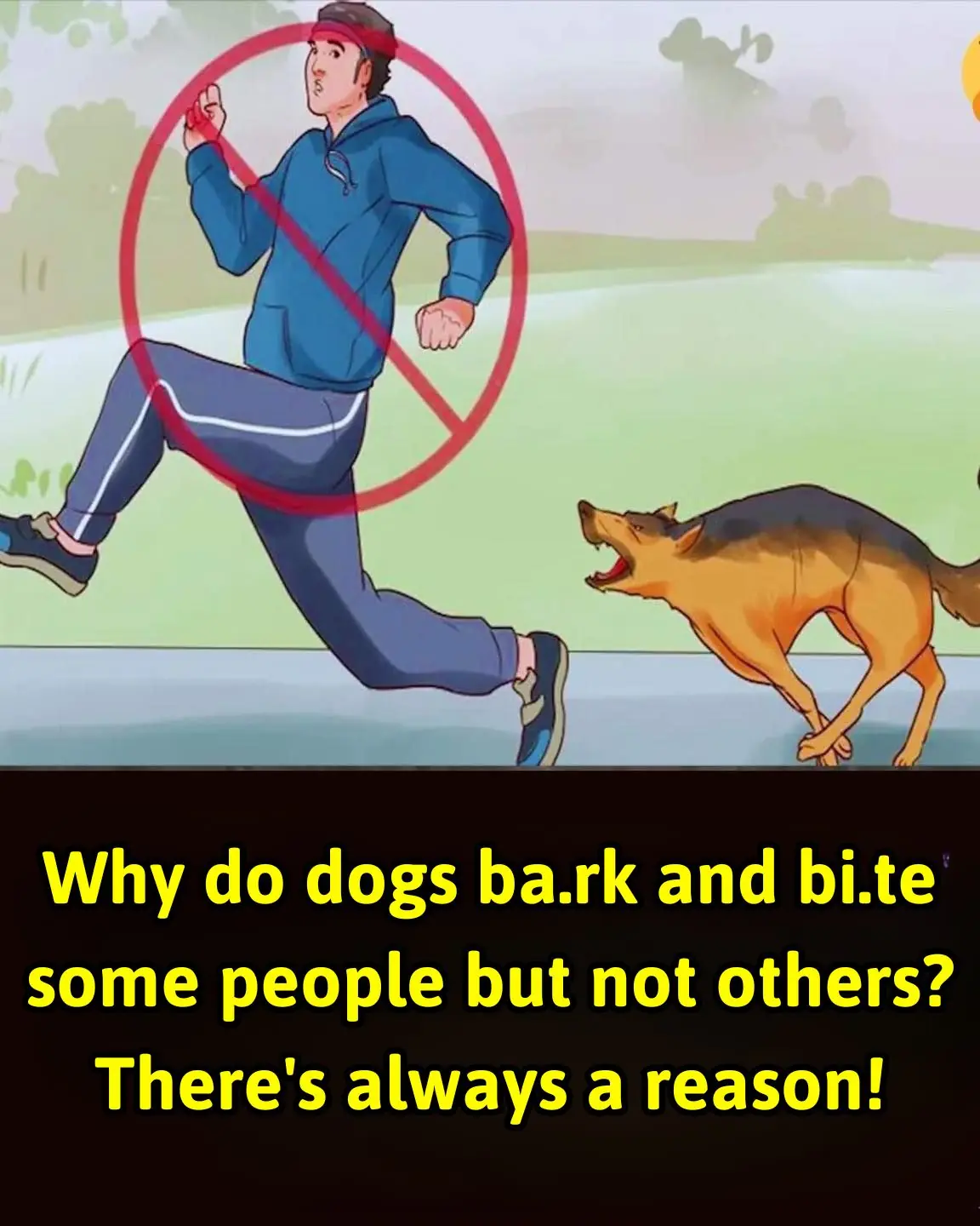 Why do dogs often chase strangers?