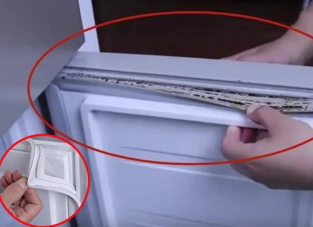 How to clean the refrigerator rubber gasket