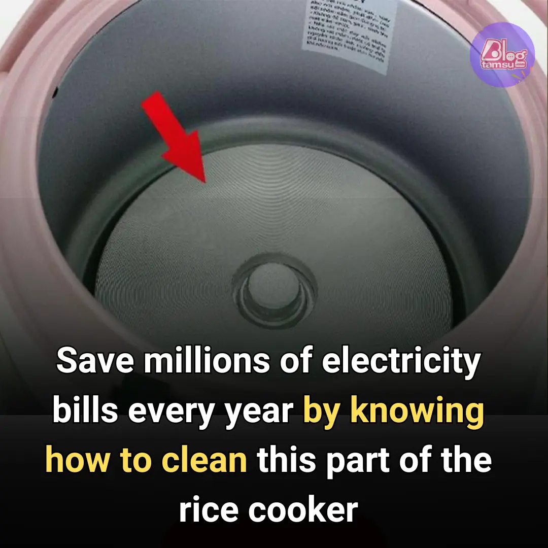 How to clean rice cooker