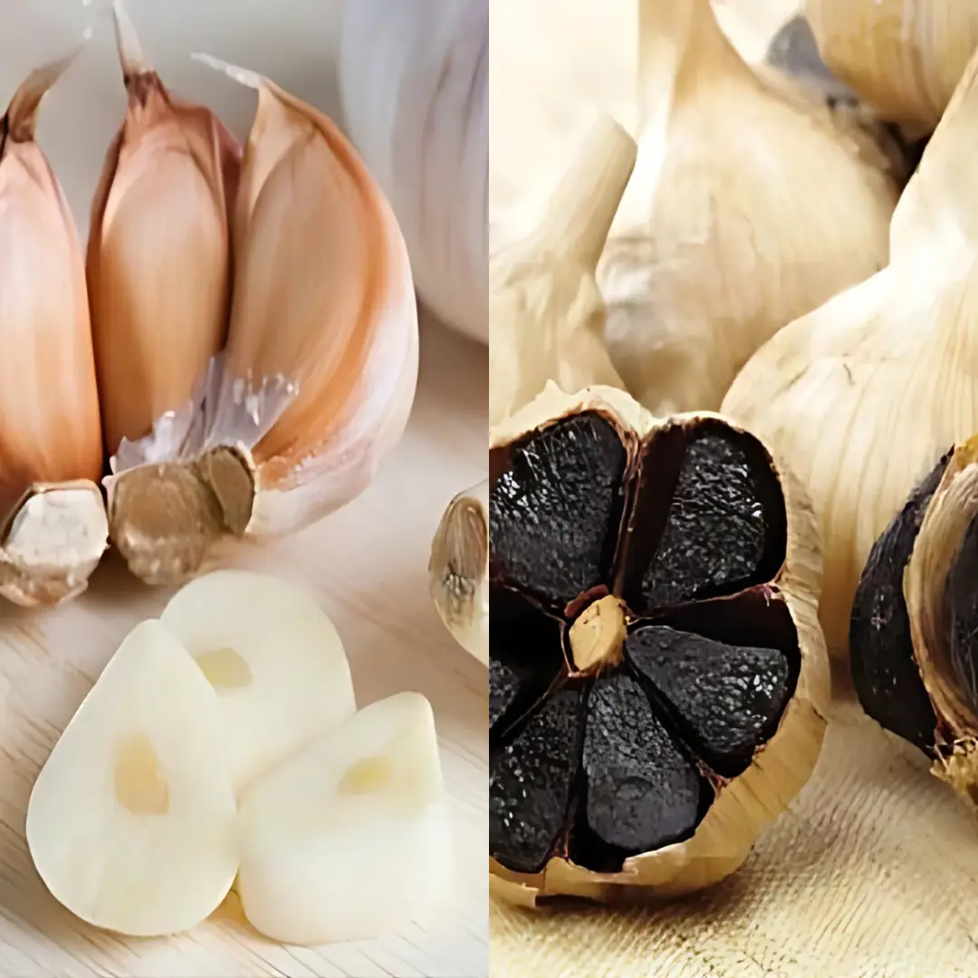 What is the nutritional difference between black garlic and regular garlic? Is black garlic as good as people think?