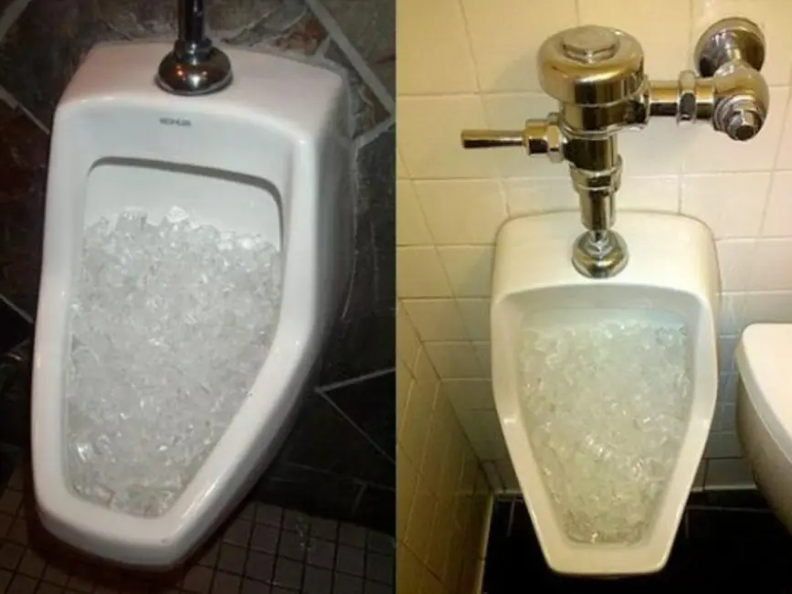 Why do restaurants and hotels often put ice in their toilets?