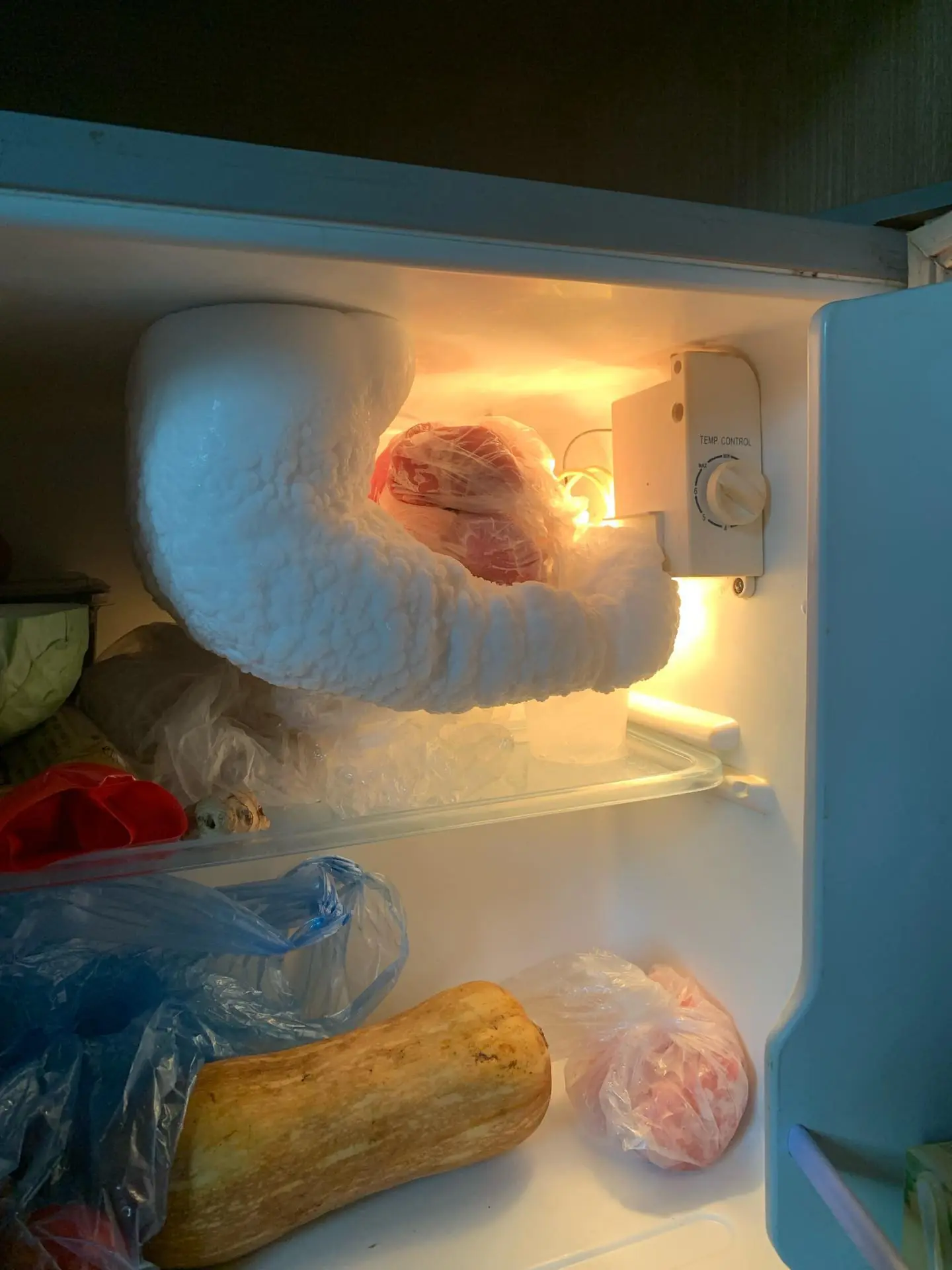 A Common Refrigerator Issue Many Households Face: "Just Looking at It Is Annoying"