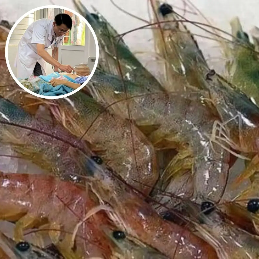 Woman d.i.es from bacterial infection while processing shrimp, this bacteria k.i.lls people within 48 hours