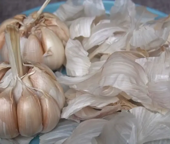 Garlic skin can be used for many other things in life