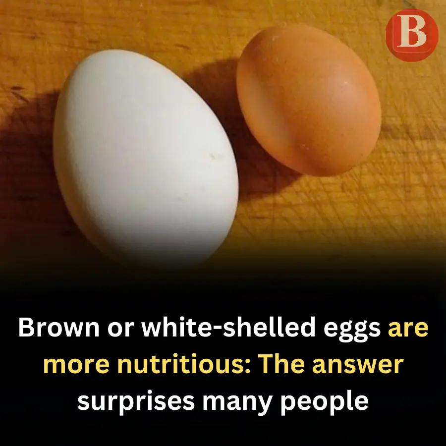 Brown or white-shelled eggs are more nutritious