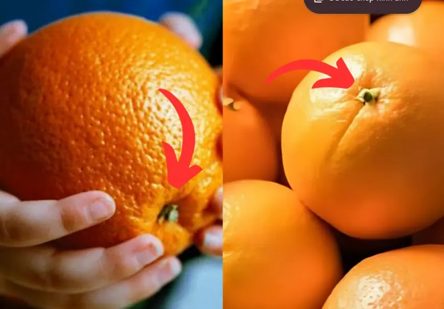 Oranges with "big n.a.v.e.l" and "small n.a.v.e.l" are different