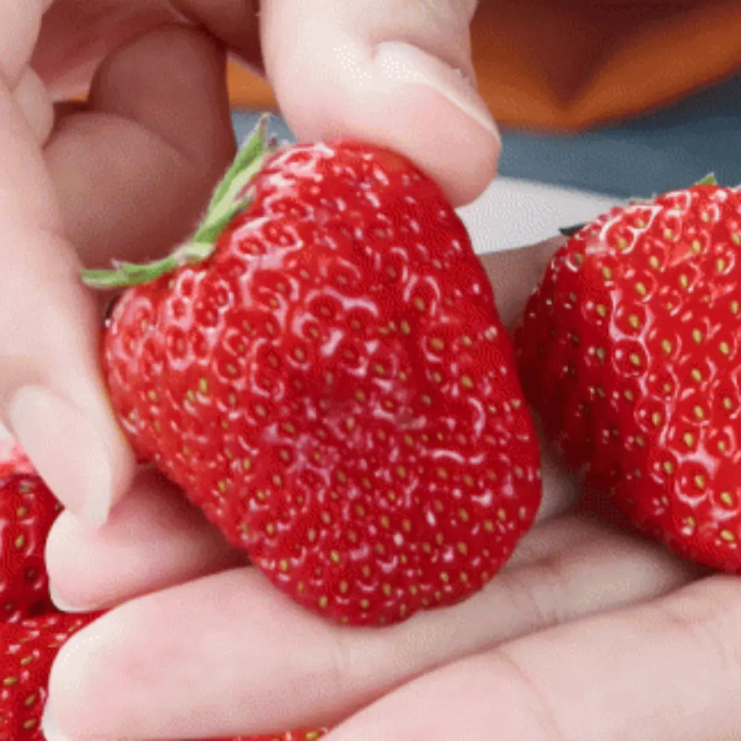 Choose strawberries that are not in.jec.ted with hor.mones, don't buy them carelessly after reading the 5 tips below