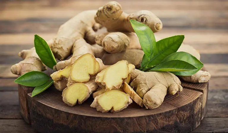 The Benefits of Ginger for Hair Loss