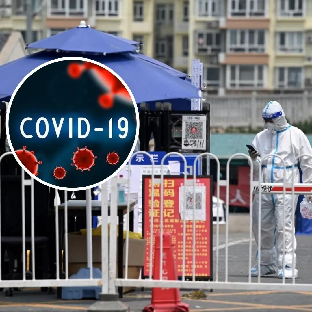 German intelligence releases evidence on origin of COVID-19