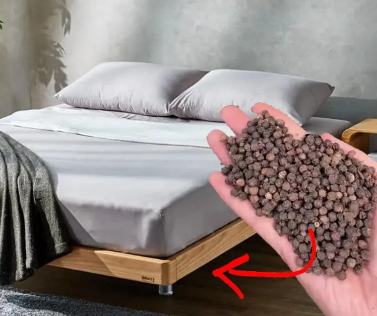 Why you should place peppercorns under your bed?