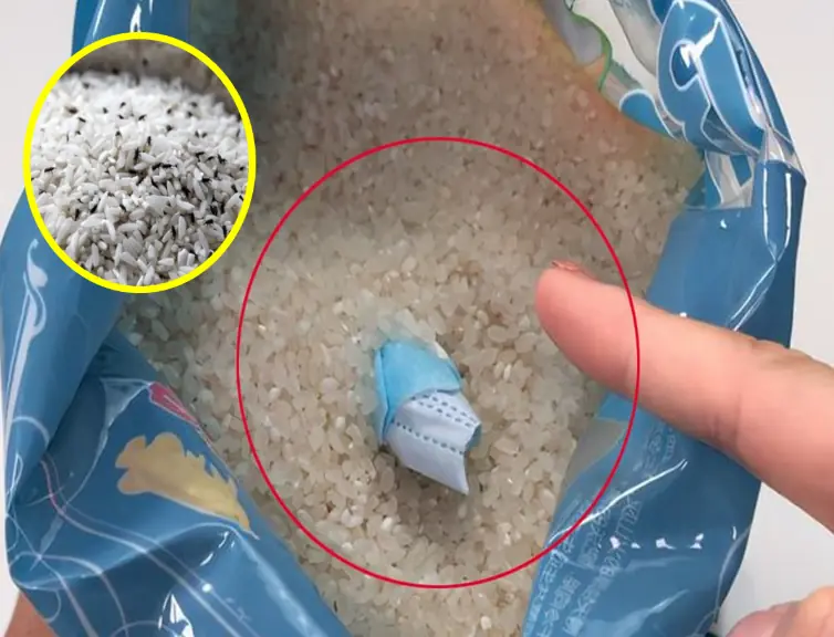 How to Store Rice to Prevent Moths and Mold