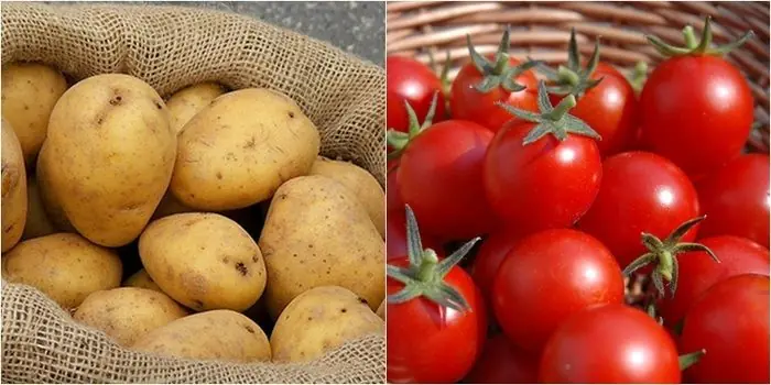 Is it true that tomatoes cooked with potatoes are poisonous? The truth surprises us