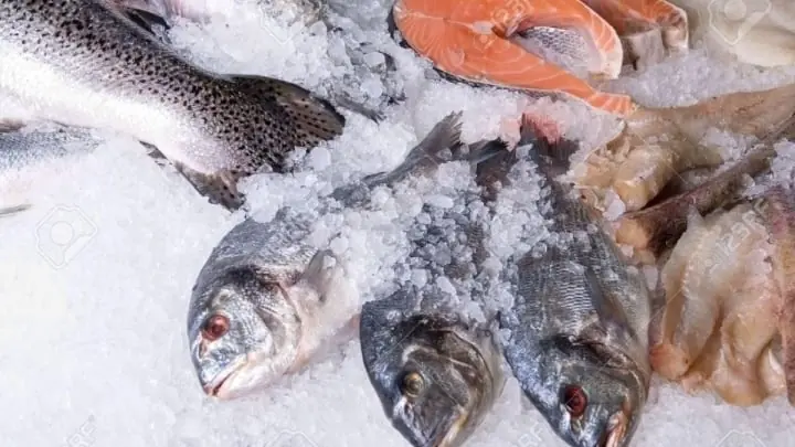 Quick and Odor-Free Fish Defrosting Tips + 4 Common Mistakes to Avoid