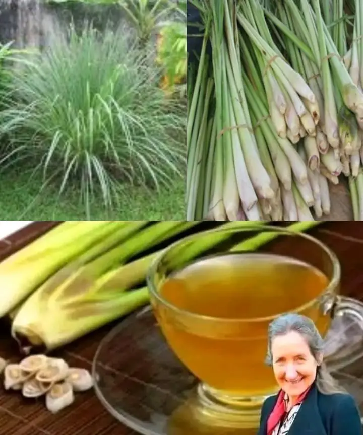 Refreshing and Healing: How to Make and Use Lemongrass Tea