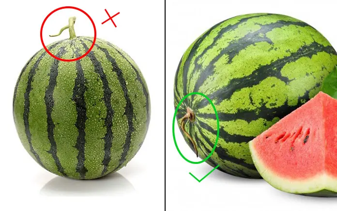 How to choose a delicious, sweet, thin-skinned watermelon.