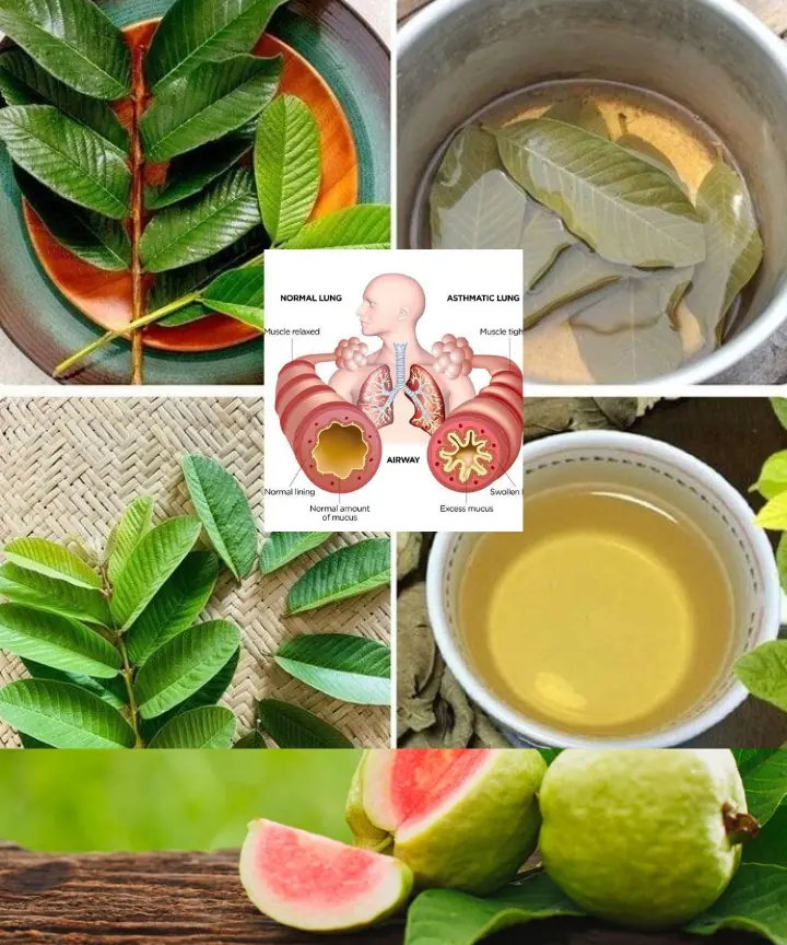 Unlock the Secret Power of Guava Leaves: Transform Your Hair, Skin, and Health Naturally