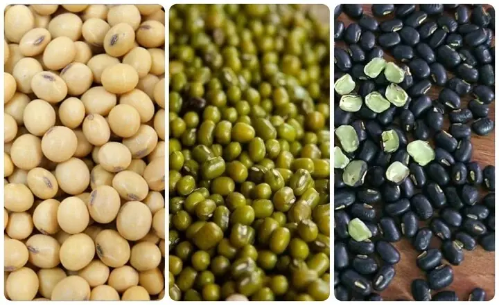 People Who Should Limit Black Beans, Green Beans, and Soybeans