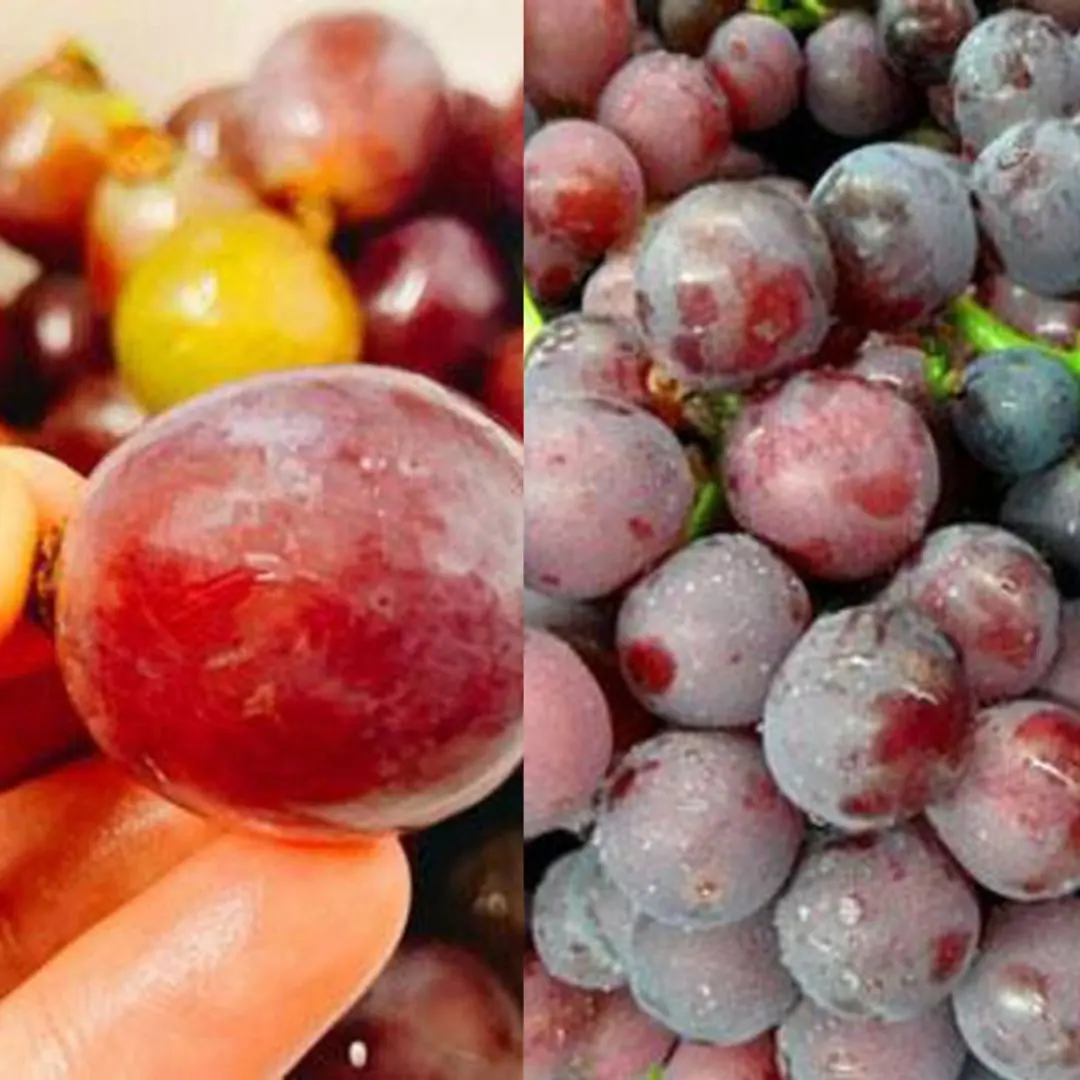 Housewives reveal 5 NOs when buying fresh grapes to ensure you always buy sweet grapes without chemicals