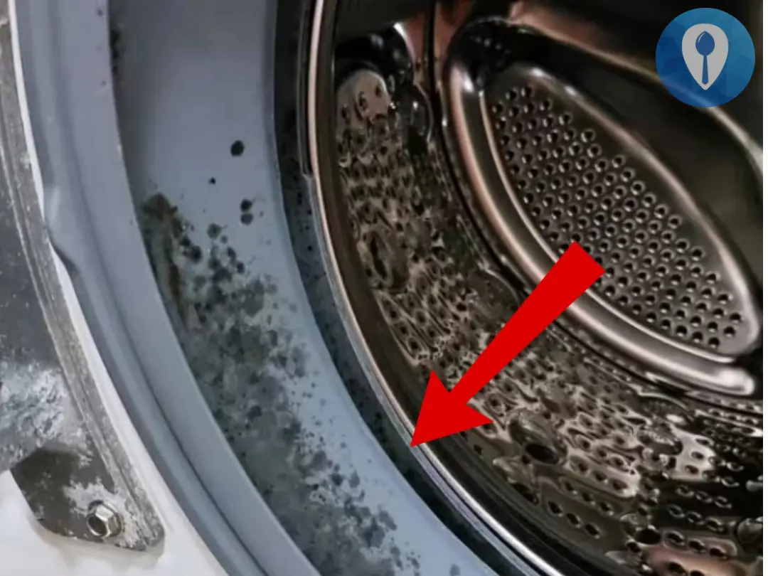 Tips to clean the washing machine drum from mold with familiar cheap items without vinegar or bleach