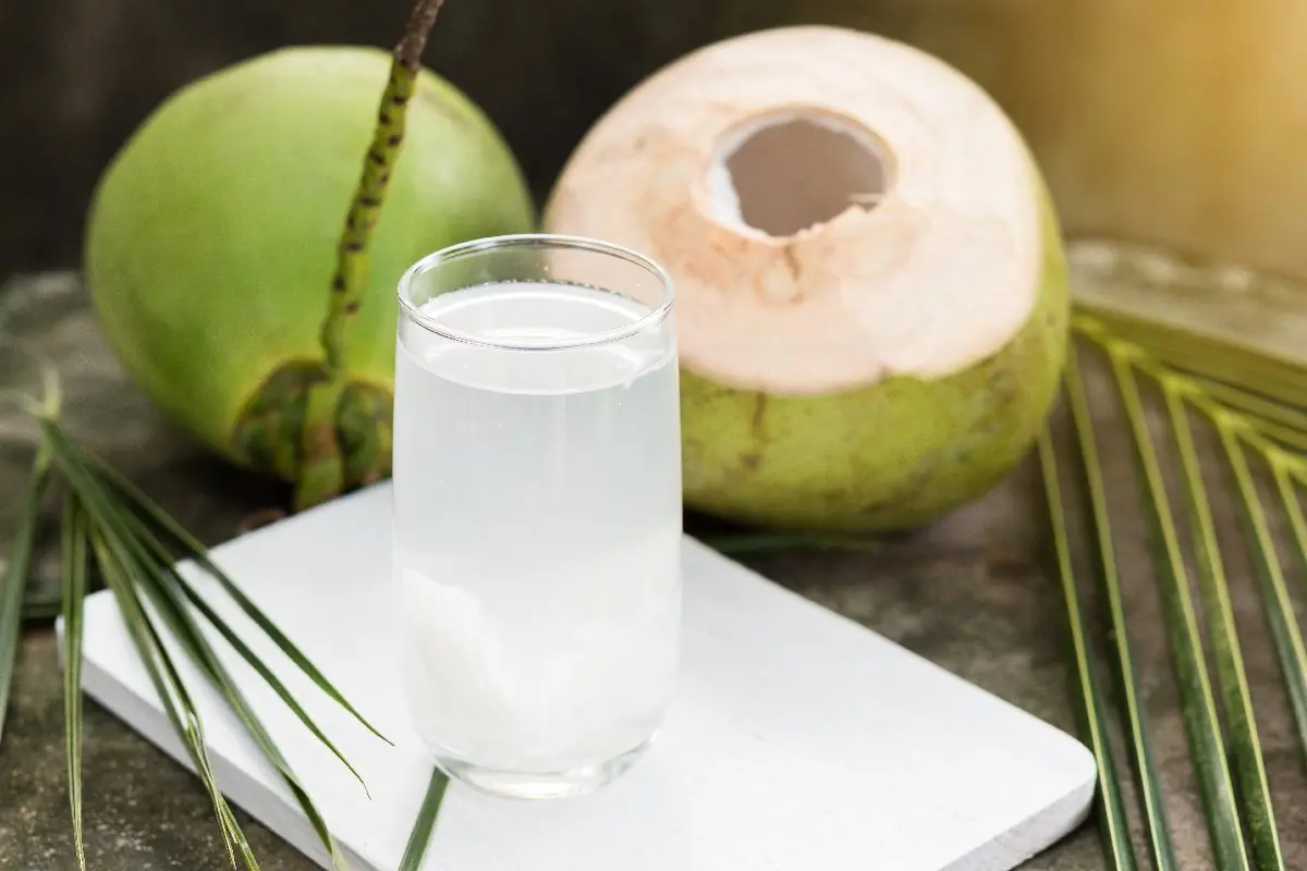 6 groups of people shouldn't drink coconut water