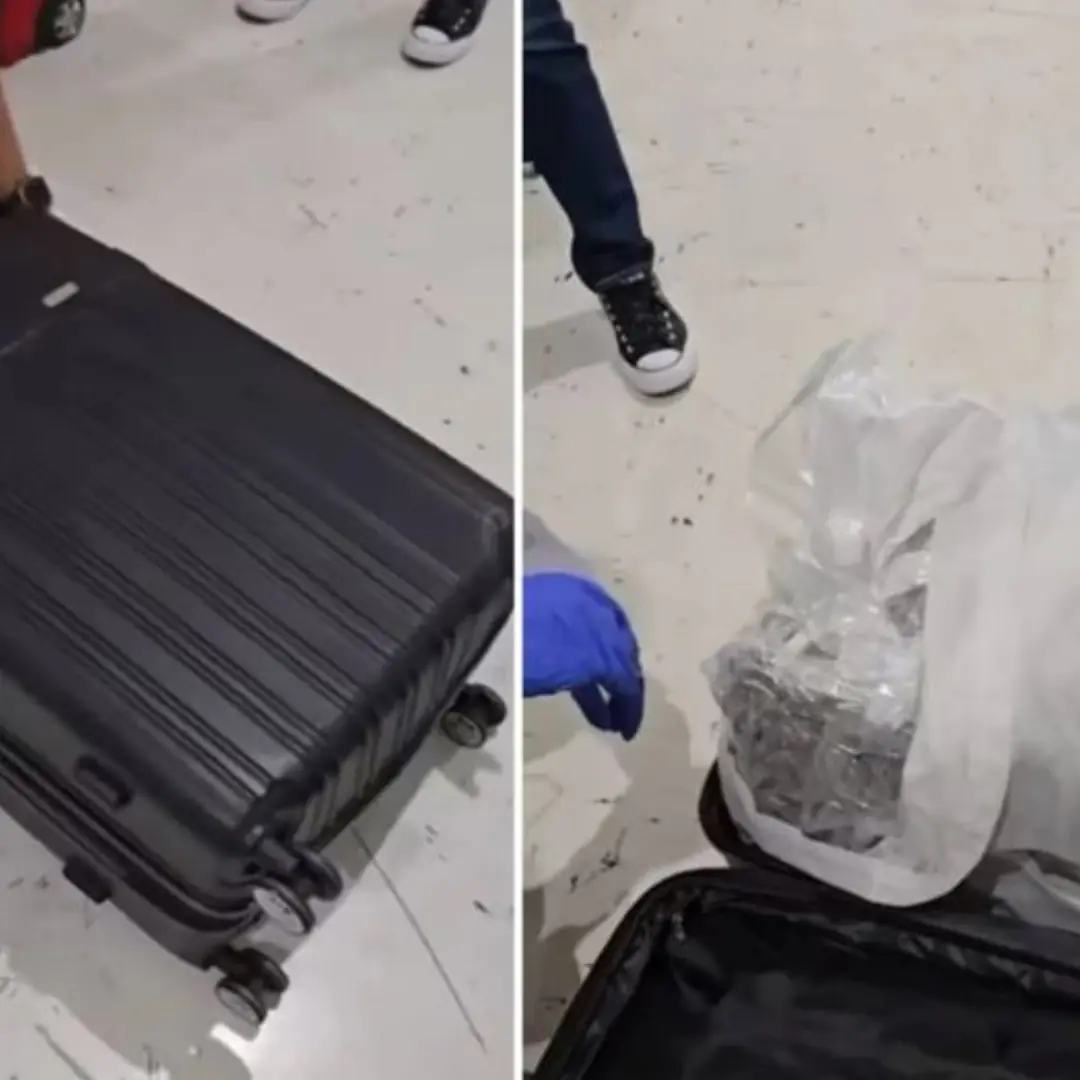 Taking the wrong suitcase, the couple was s.h.o.c.k.e.d when they saw what was inside