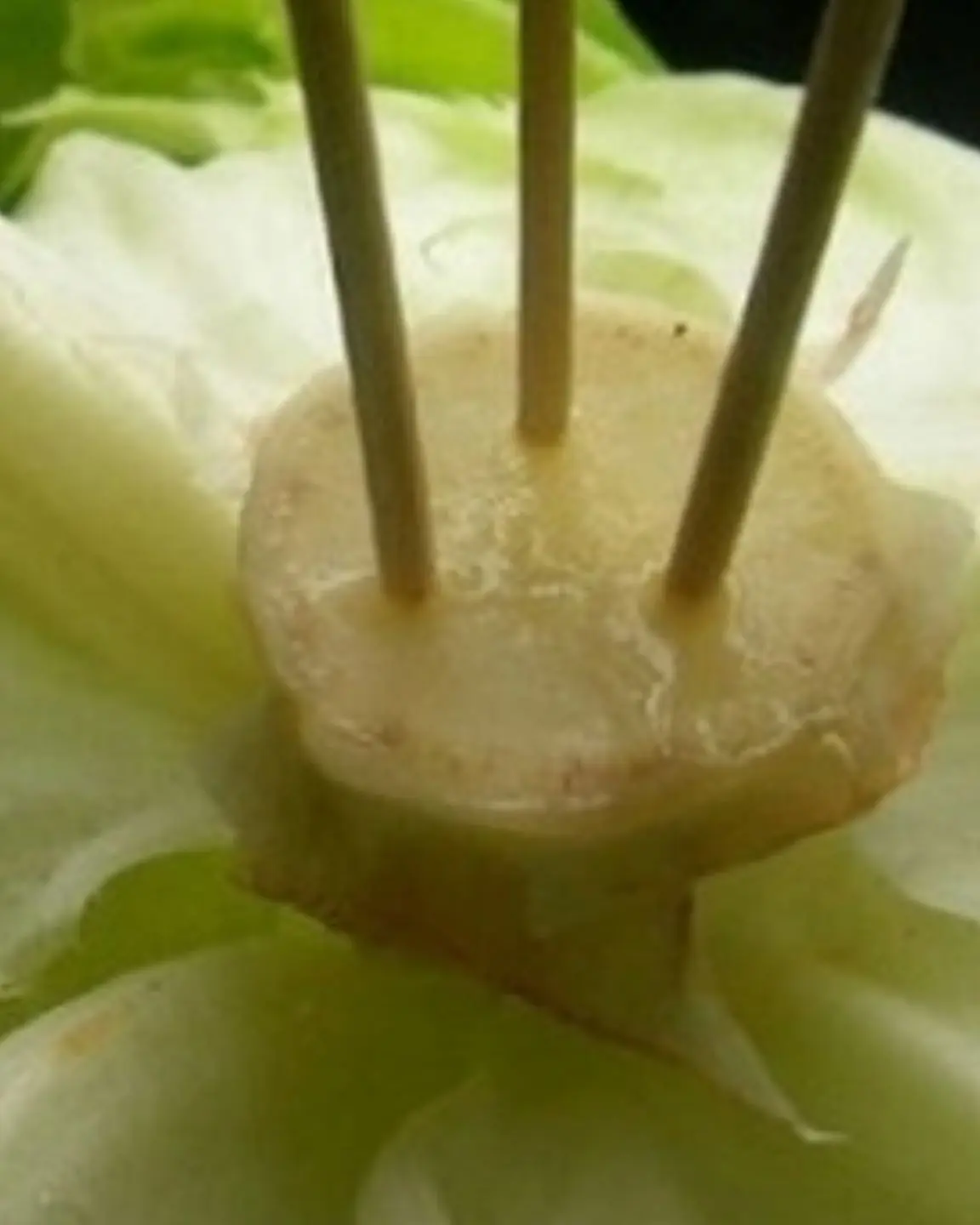 Stick 3 toothpicks into the stem of lettuce: A small tip but solves a lot of problems, it's a waste if you don't know