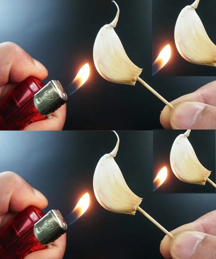 Pure Magic: Burning a Clove of Garlic, What Happens After 15 Minutes at Home?