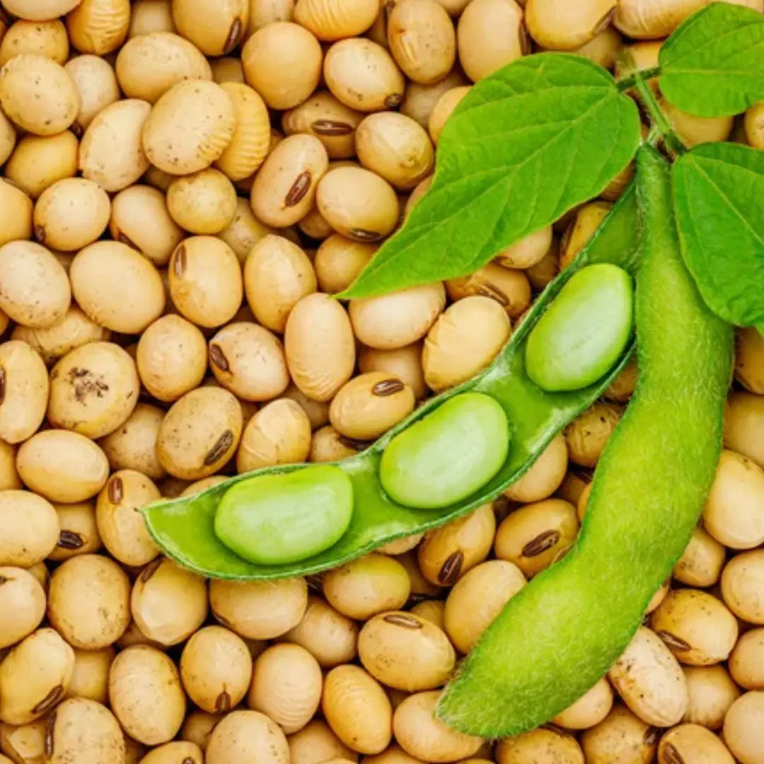 What Happens To Your Body When You Eat Soy Every Day