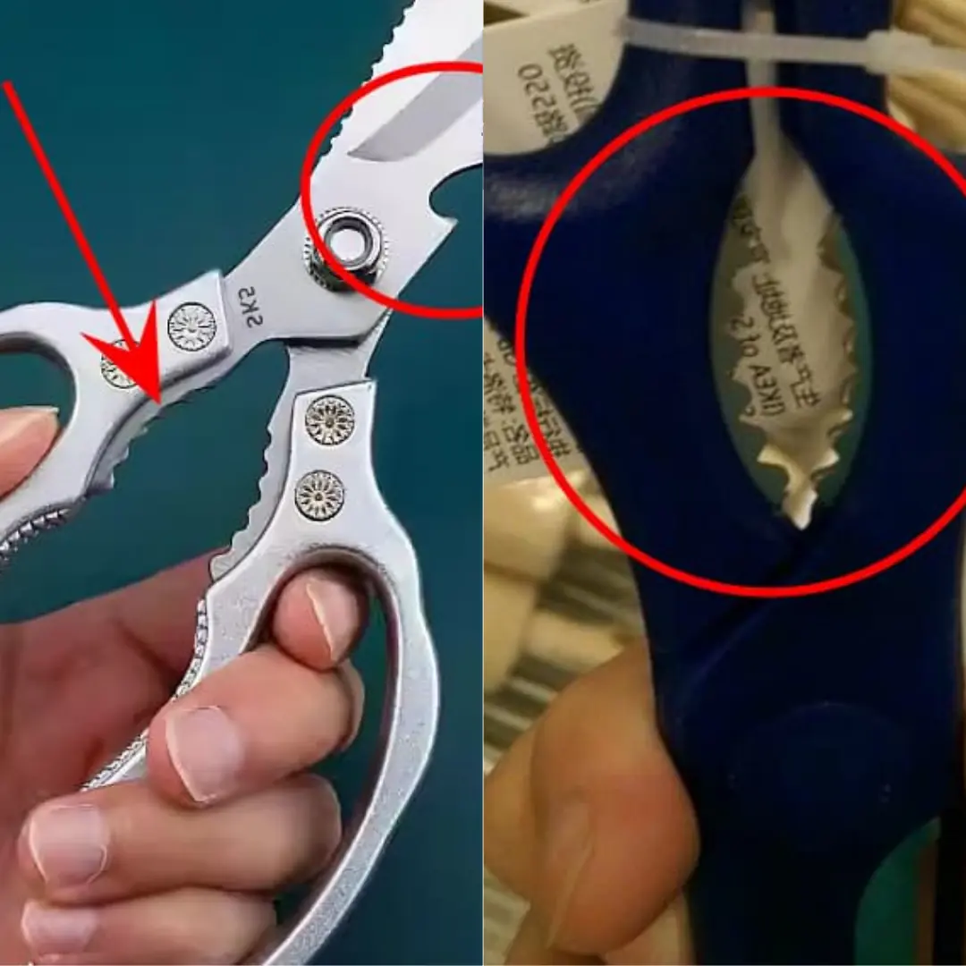 The holes and teeth on scissors have special uses that many people do not know about