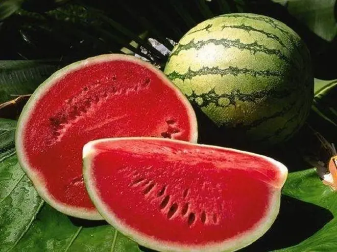 Tips for choosing watermelon