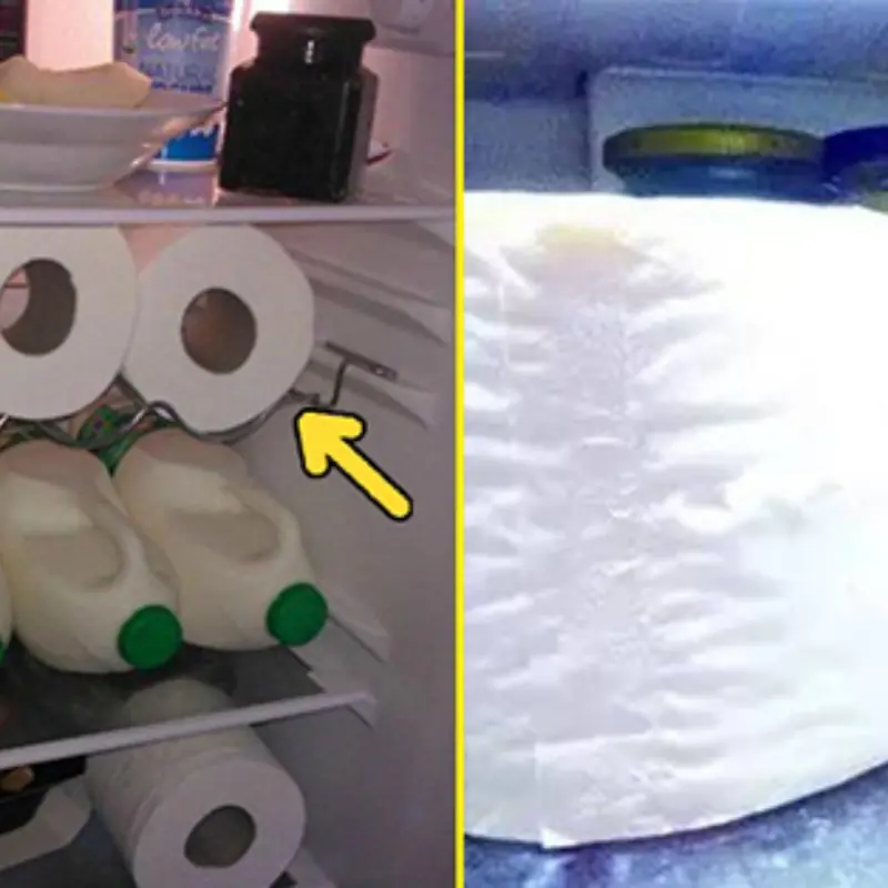 The Truth Behind Placing Toilet Paper in the Fridge to Eliminate Odors