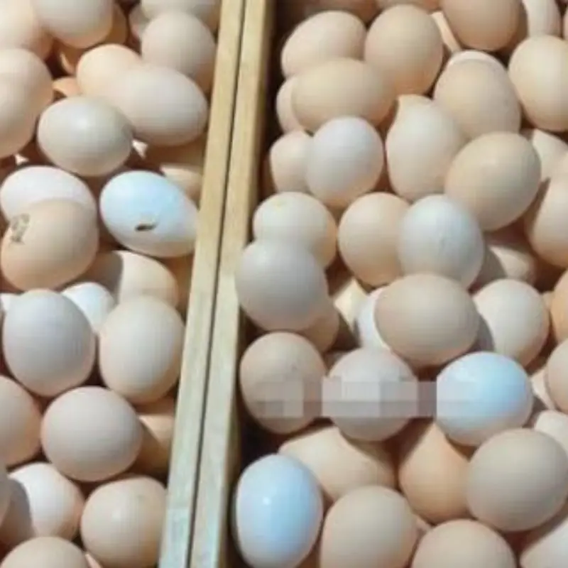 Good tips when buying eggs