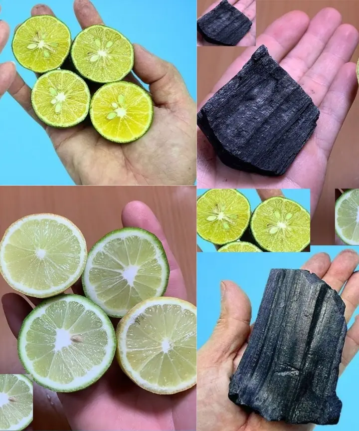 The Powerful Benefits of Mixing Lemon with Charcoal: A Natural Remedy for Health and Wellness