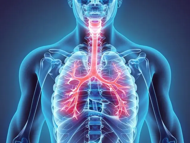 Boost Your Respiratory Immunity Naturally! 5 Powerful Herbs & Spices to Strengthen Your Lungs